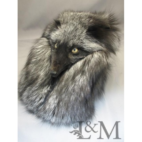 animal sporran